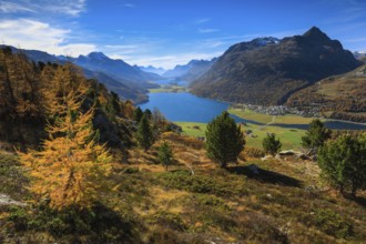 Lake Silvaplana and Silsersee, Upper Engadine, Grisons, Switzerland, Europe