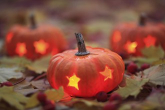 Illuminated pumpkin