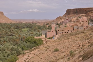 View of the Todhra Gorge, near Zaouia-Sidi-Abdelali, Morocco, Africa