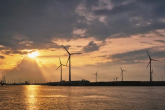 Wind turbines power electricity generators in Antwerp port on sunset. Antwerp, Belgium, Europe