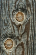 Close up of a plank of wood