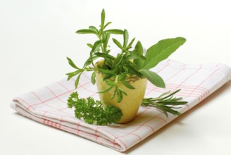 Savory, Savory, Savory (Satureja hortensis) parsley, rosemary, sage