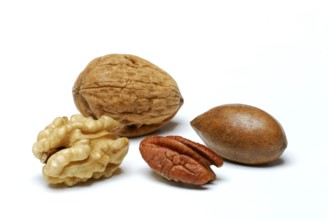 Walnut (Juglans regia) and pecan (Carya illinoiensis) , pecan nut