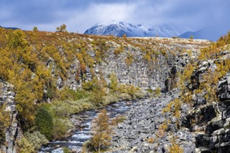 River Store Ula, Canyon, Autumn, Rondane National Park, Norway, Europe