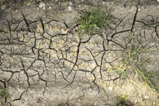 Ausgetrockneter Boden im Irak, 09.03.2023