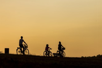 Silhouette of cyclists on the Elbe cycle path in the evening