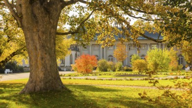 The former summer residence of the Saxon royal family is the largest chinoise palace complex in