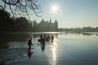 Fishing of the castle pond in Moritzburg