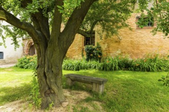 DEU Saxony Klosterbuch Buch Monastery is a former Cistercian monastery founded as St. Mary's