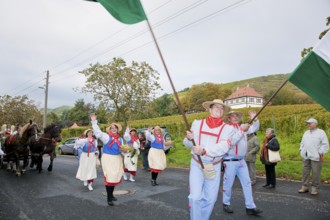 The Saxon Winegrowers' Procession 2011