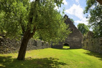 Altzella monastery. The bulk buildings on the other side of the mill race were used to store the