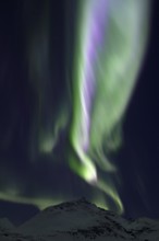 Northern Lights, Aurora borealis, Aurora Borealis, in the night sky over Skjervøy, Troms og