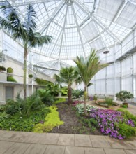 Palm House in Pillnitz Palace Park