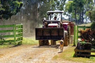 Tractor entering in a farm, Serra da Canastra, Sao Roque das Minas, Minas Gerais state, Brazil,