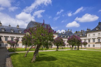 Pillnitz Palace Park in spring, Lilac Courtyard