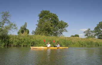 Canoeists, excursion on the Unstrut near Kirchscheidungen, Saxony-Anhalt, Germany, Europe