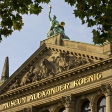 Museum Koenig, Natural History Museum and station of the history trail Weg der Demokratie, Bonn,