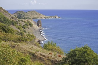 The mountain range Sierra Maestra reaching the Caribbean Sea, Cuba, Central America