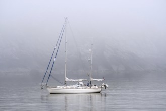 Sailboat, sailing boat, yacht with lowered sails at sea during bad visibility due to thick fog,