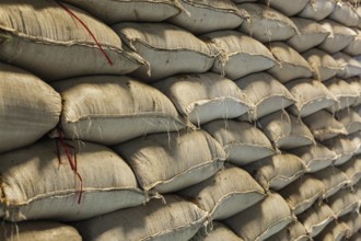 Rice grain sacks in warehouse