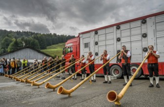 16. 09. 2022. alphorn blowers at the Almabtrieb, cattle seperation in Thalkirchdorf, Markt