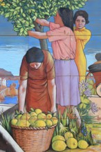 Lemon harvest, mural on the town hall in Amalfi, Campania, Italy, Europe