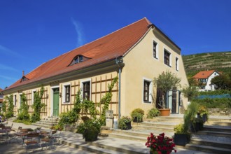 Hoflößnitz st a former Electoral Saxon, now municipal winery on the Saxon Wine Route In the 21st