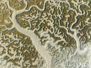 Network of dry channels and streams at low tide, in the marshland of the Bahía de Cádiz, aerial