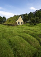 Hofskirkja church with grass roof and grass-covered graves, Öræfi region, South Iceland, Iceland,