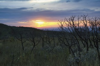 Sunset over Serra da Canastra Mountains, Minas Gerais state, Brazil, South America