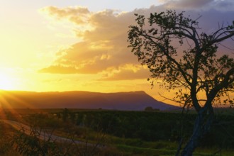 Sunset over Serra da Canastra Mountains, Minas Gerais state, Brazil, South America