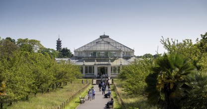 Temperate House, the largest Victorian greenhouse in the world, Royal Botanic Gardens (Kew