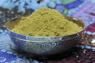 Henna powder, in a bowl, Lawsonia inermis (Lawsonia inermis), Dye, Henna