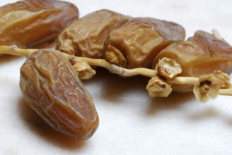 Dried dates, Deglet Nour (Phoenix dactylifera)