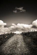 Path in Cezallier plateau, Auvergne volcanoes regional natural park, Puy de Dome department,