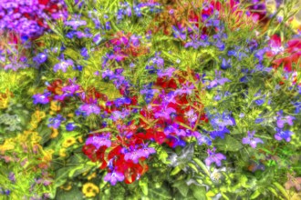 Oil painting-like picture, various bright flowers, red, yellow and purple flowers creative,