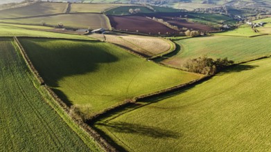 Fields and Farms from a drone, Devon, England, United Kingdom, Europe