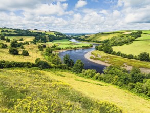 Sharpham Meadows and Marsh over River Dart from a drone, Totnes, Devon, England, United Kingdom,