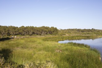 S'Albufera des Grau nature Park, Menorca