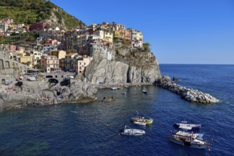 Fishing village of Manarola, district of Riomaggiore, Cinque Terre, province of La Spezia, Liguria,