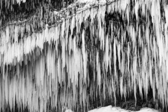 Icicles on the rock face at Skogafoss waterfall, black and white photo, Sudurland, Iceland, Europe