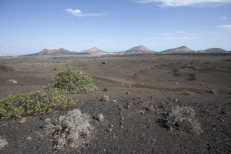 Volcanic landscape near Timanfaya National Park, Lanzarote, Canary Islands, Spain, Europe