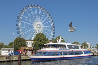 Excursion boat, Ferris wheel, flying seagull, Unterwarnow, Hanse Sail, Warnemünde, Rostock,