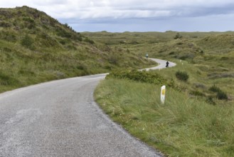 Cycling in dune landscape, Denmark, Europe