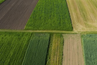 Drone shot, meadow path with grain fields and harvested fields, from above, agriculture,