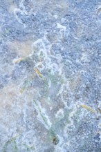 Detail of rozen water (ice) and air bubbles, Upper Palatinate, Bavaria, Germany, Europe