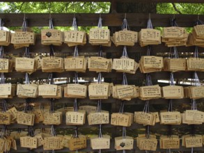 Wooden boards with wishes, wishing board, wish board, wooden boards, wishes, Meiji Jingu Shrine,