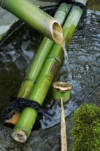 Fountain and bamboo ladle, Ryoanji, Ryoan-ji temple, Kyoto, Japan, Asia