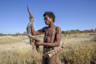 Bushman of the Ju/? Hoansi-San in a traditional hunt with bow and arrow, inspects the horn of a