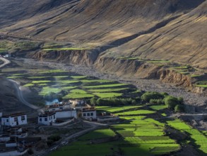 Village between green terraces, rice cultivation and agriculture in the highlands of Tibet, China,